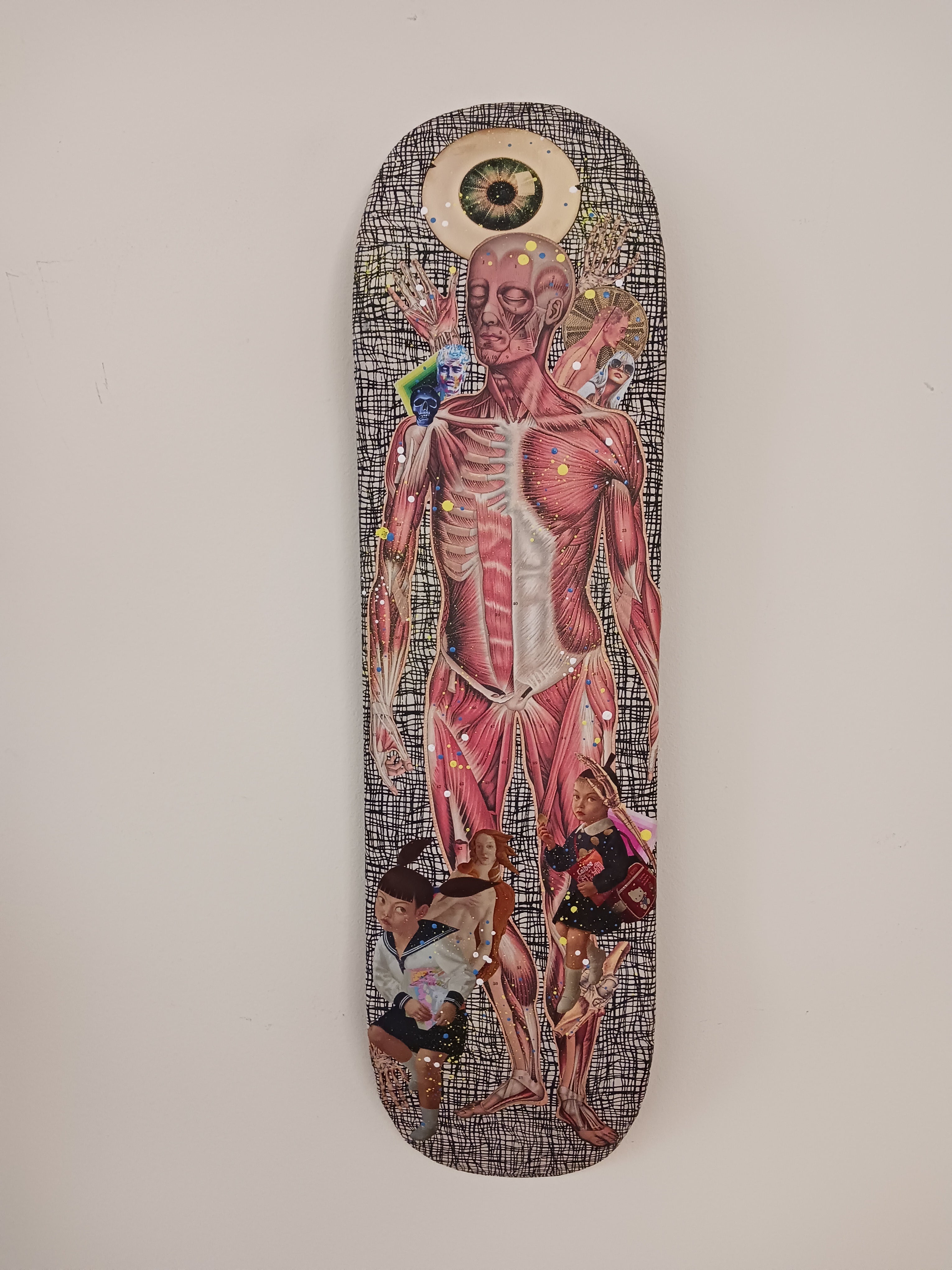 Phoebe Teeters Skateboard Collage