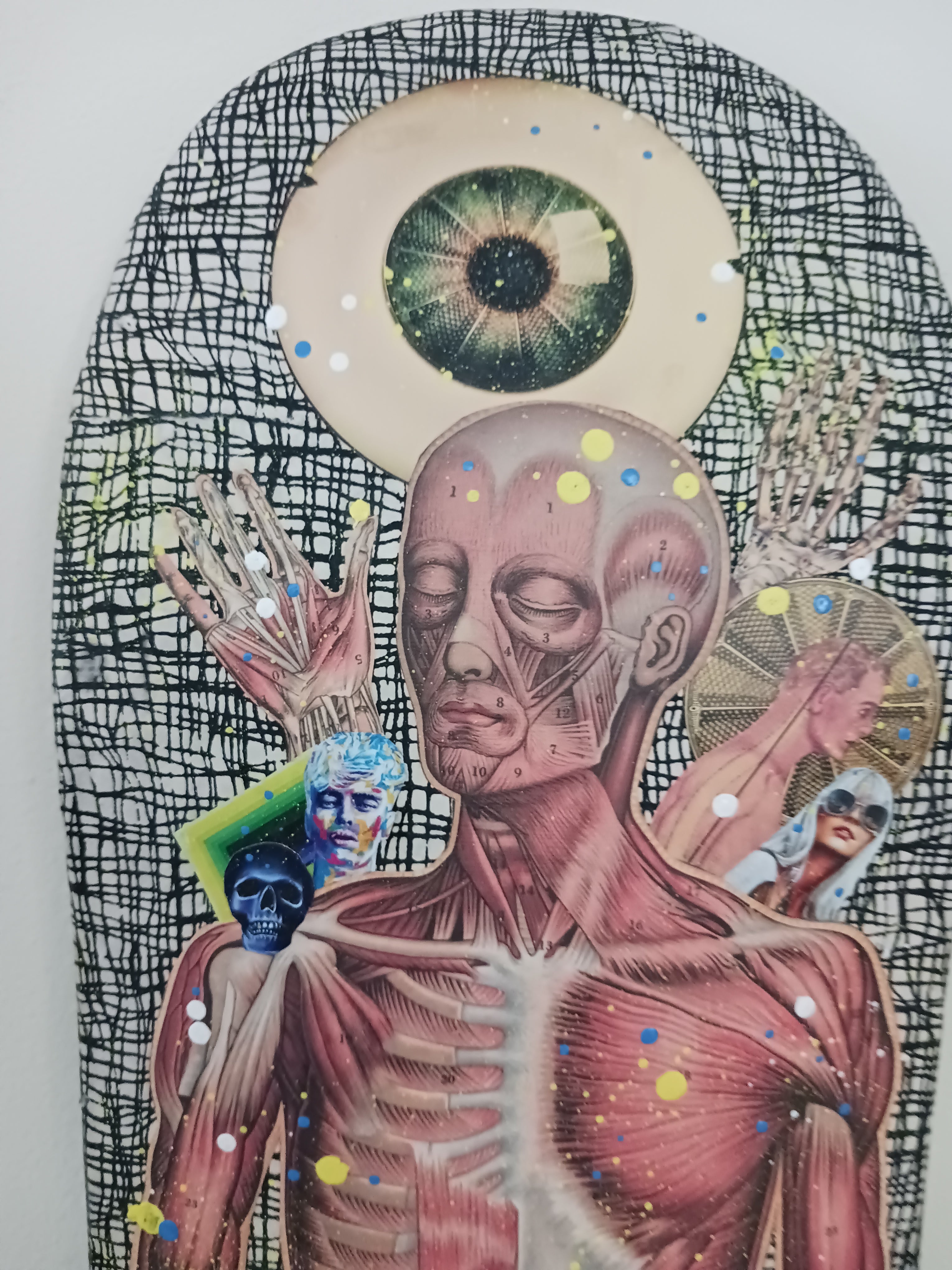 Phoebe Teeters Skateboard Collage