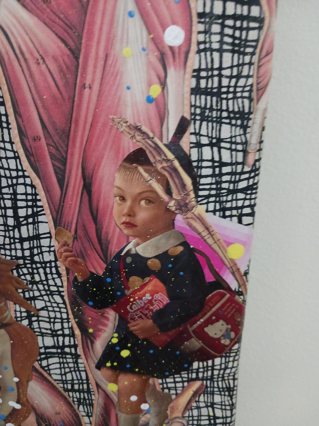Phoebe Teeters Skateboard Collage