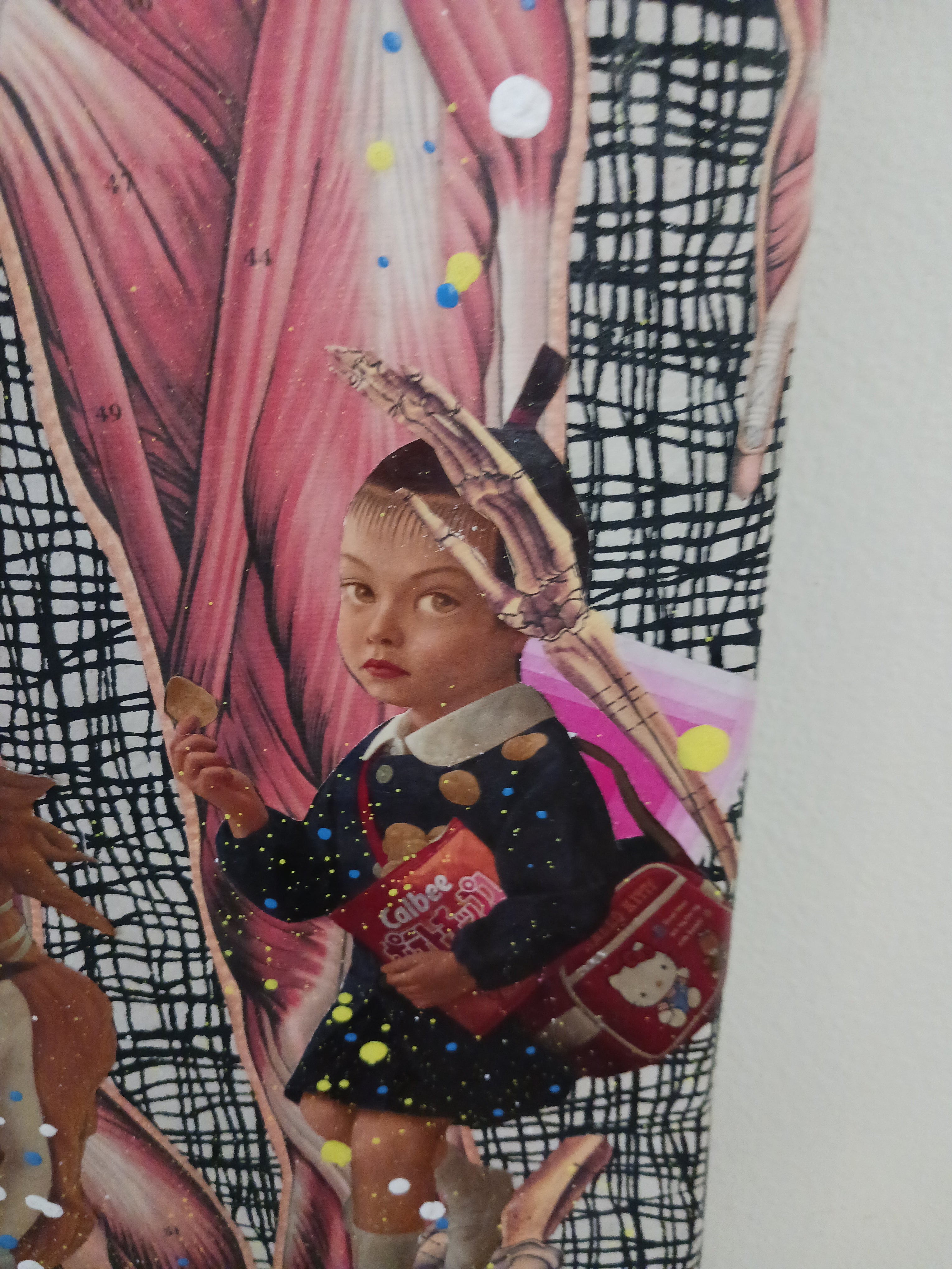 Phoebe Teeters Skateboard Collage