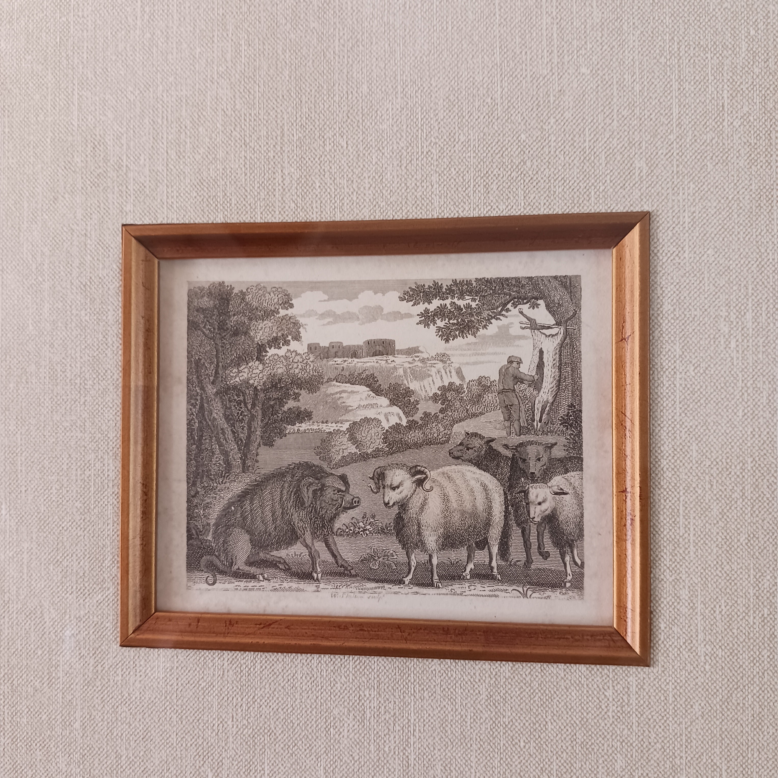 William Skelton Original Engraving - Wild Boar and Ram - First State, 1790