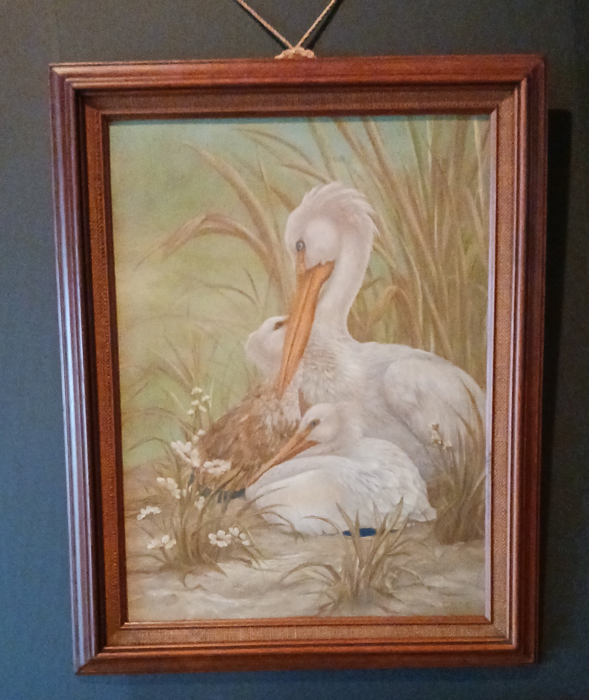 Pelican Family - Oil on Canvasboard 1970s