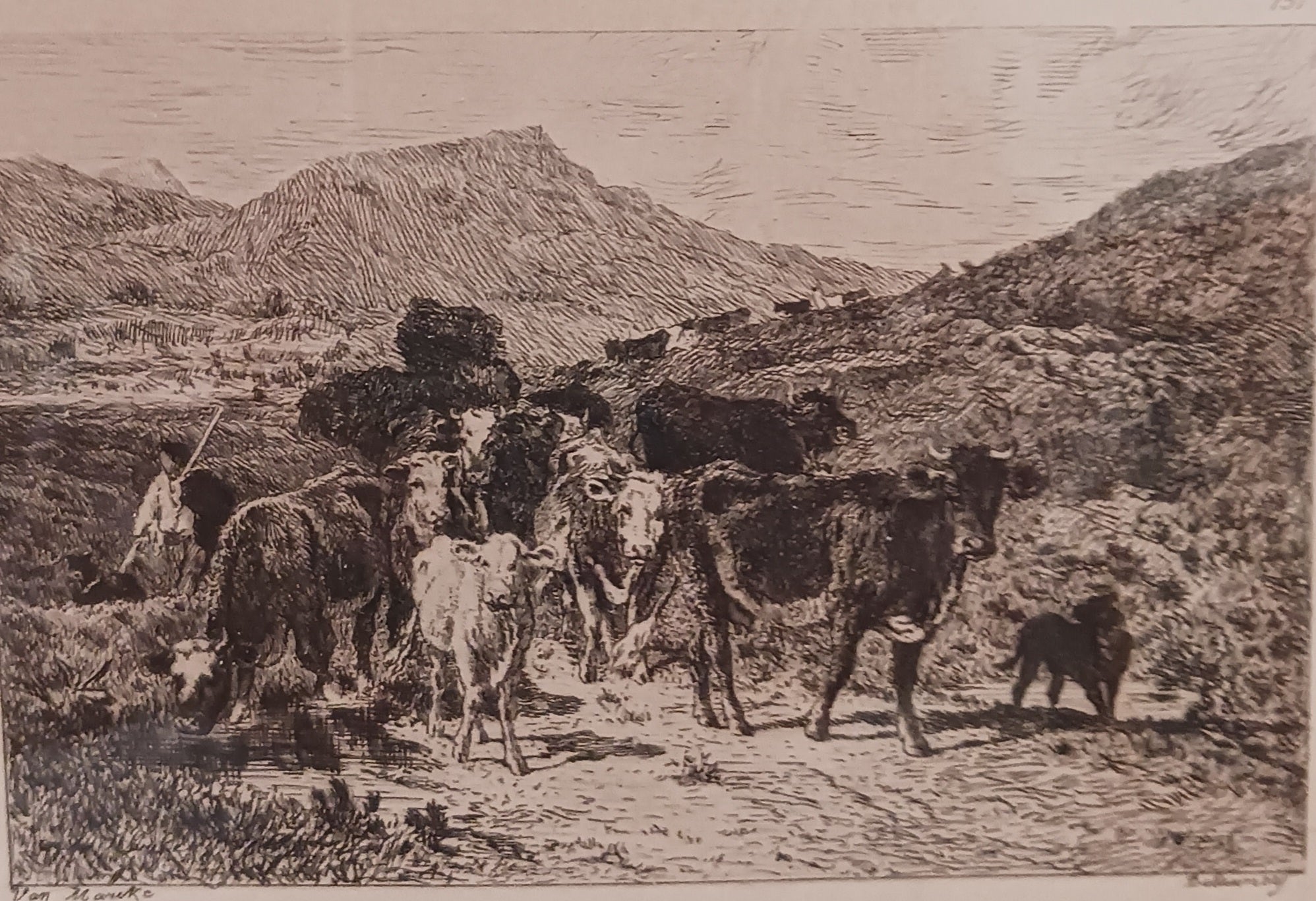 Emile Van Marcke - Troupeau de Boeufs dans les Montagnes -First Printing 1873