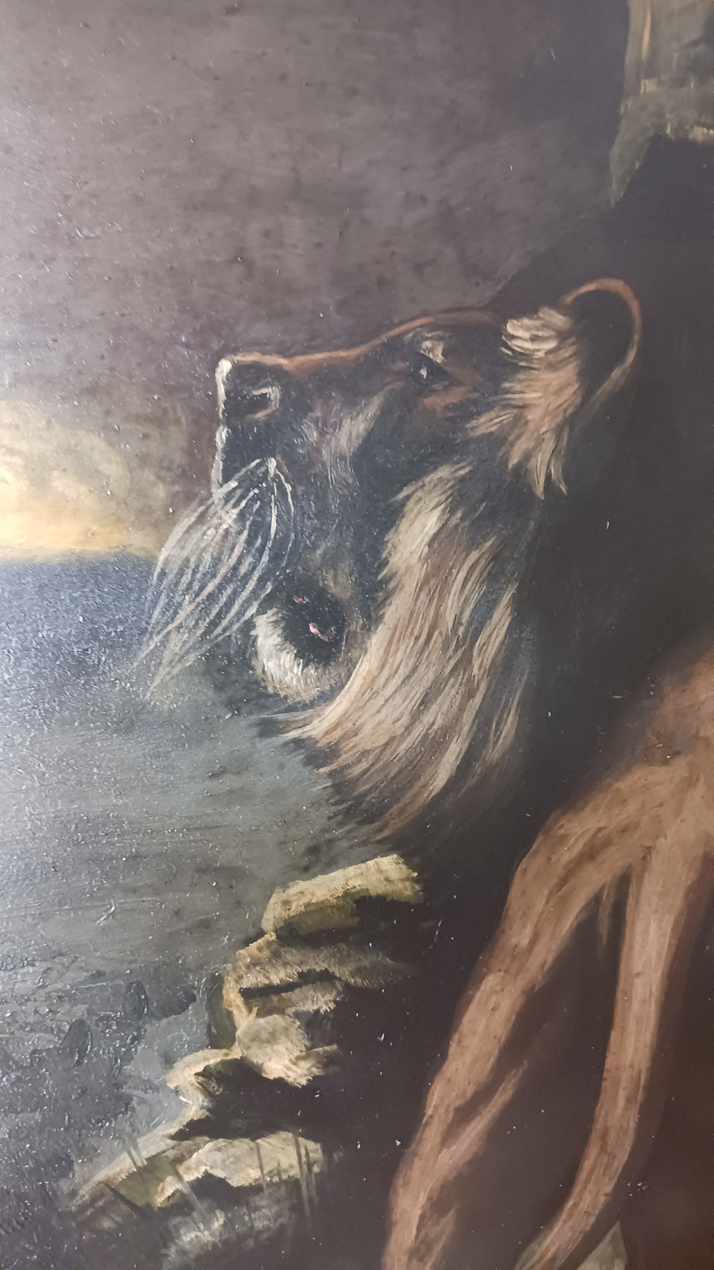 Desert Lions at Night - Early 19th C. French Oil on Board