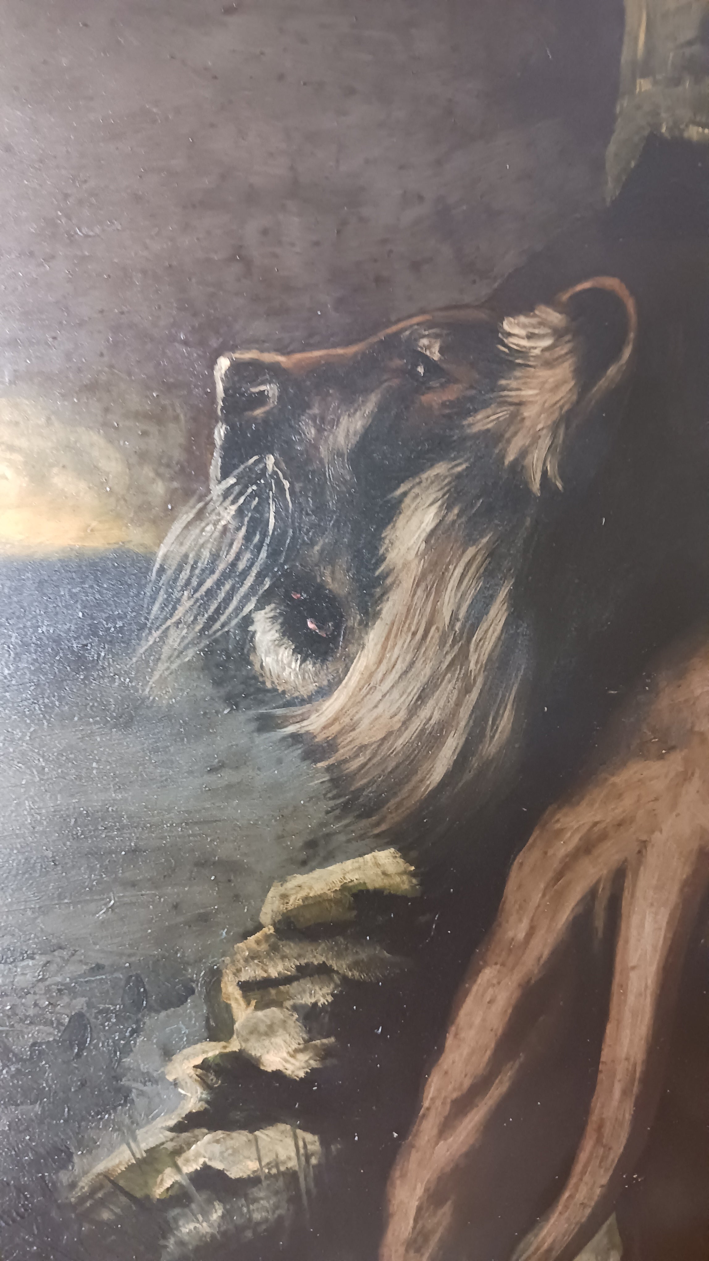 Desert Lions at Night - Early 19th C. French Oil on Board