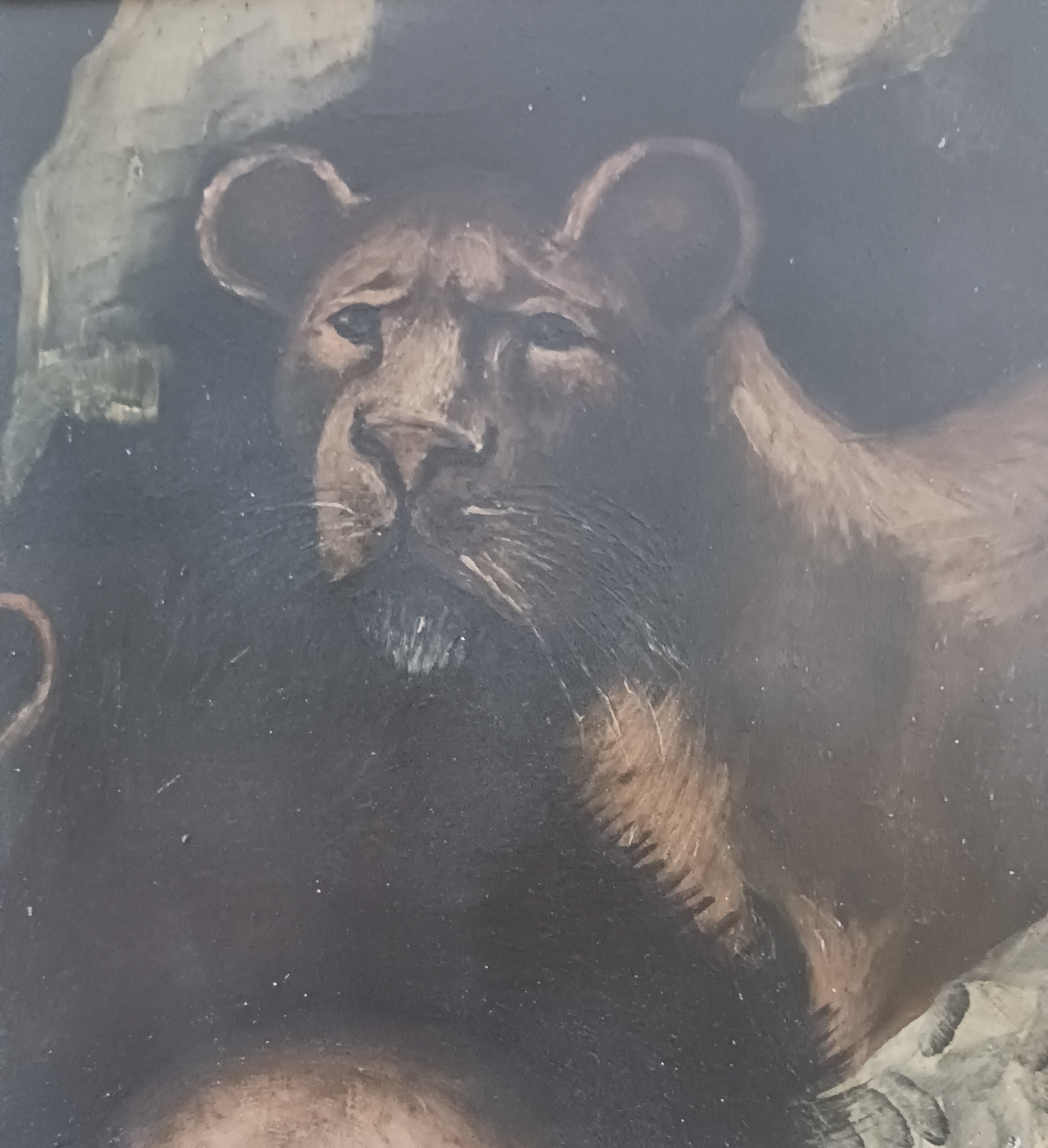 Desert Lions at Night - Early 19th C. French Oil on Board