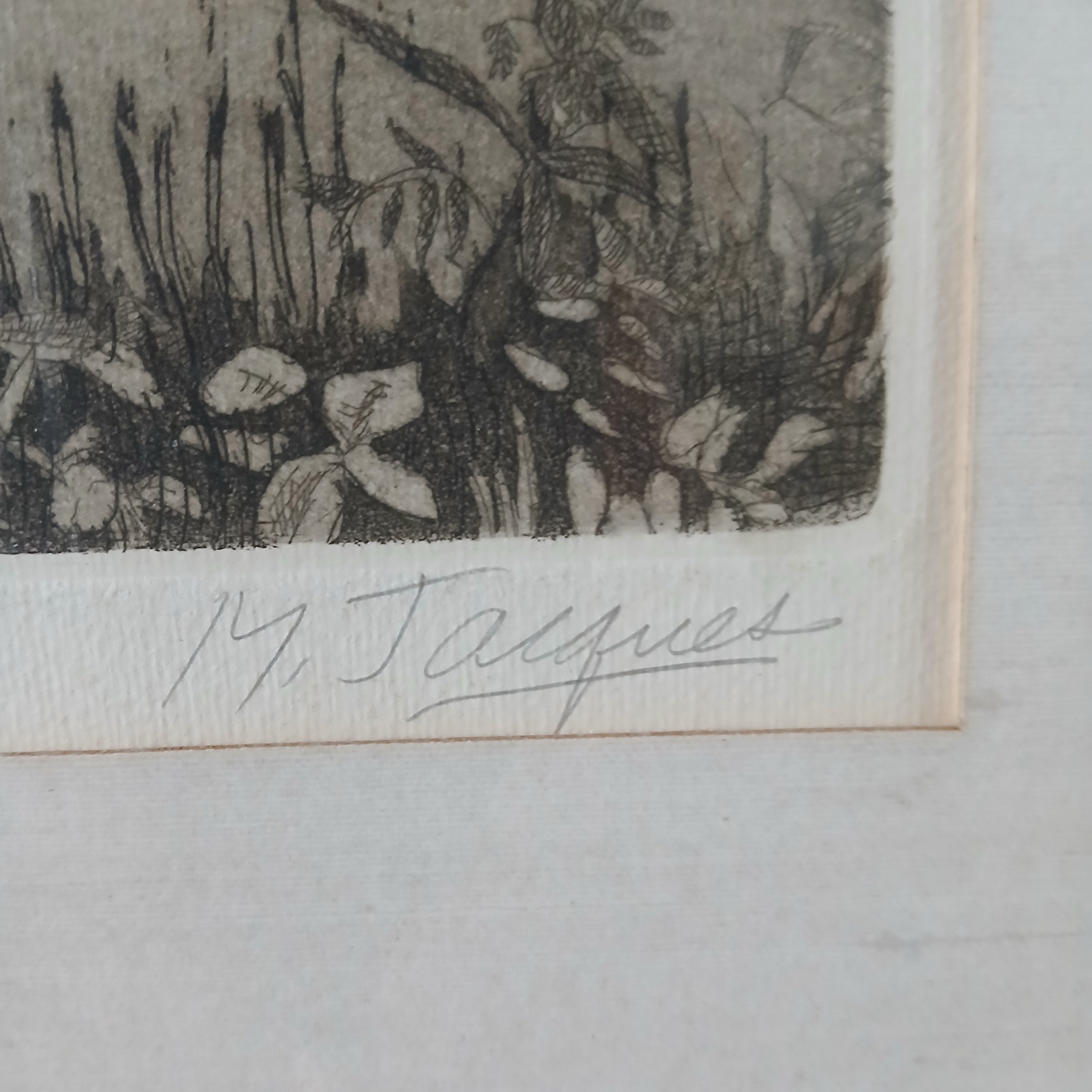 Michael Jacques etching of George Cayley: The First Step- Aviation Pioneer