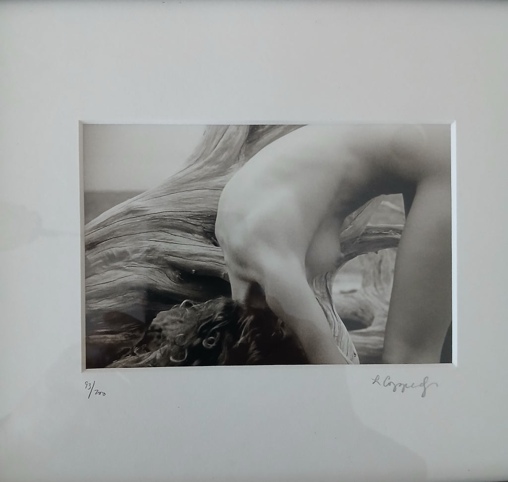 Three Artful Nudes by Renowned Photographer Laurie Coppedge Signed and Numbered