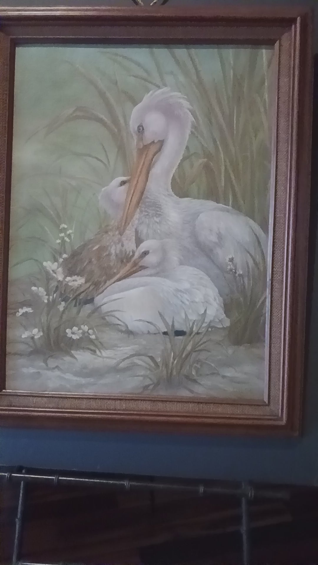 Pelican Family - Oil on Canvasboard 1970s