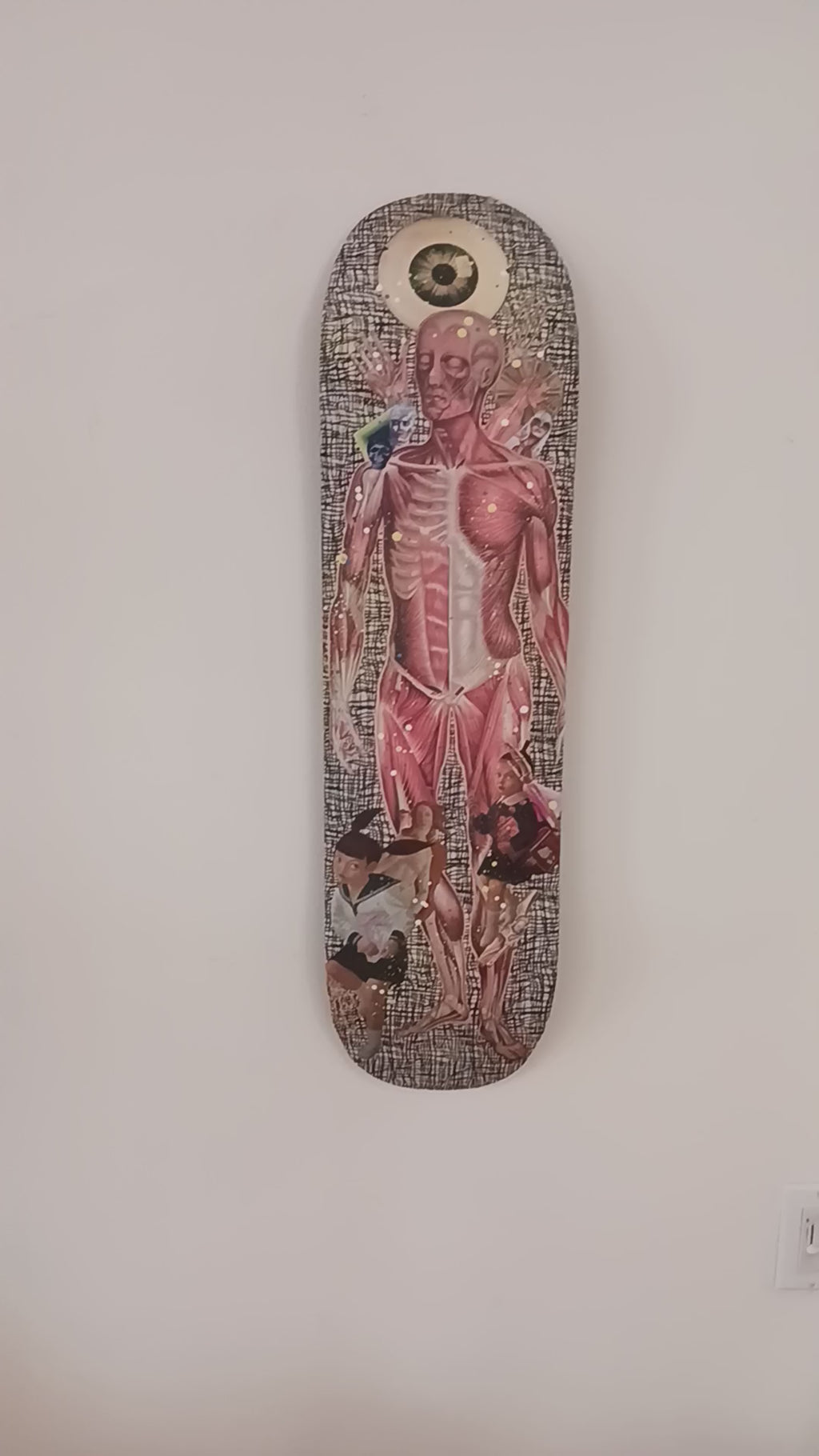 Phoebe Teeters Skateboard Collage