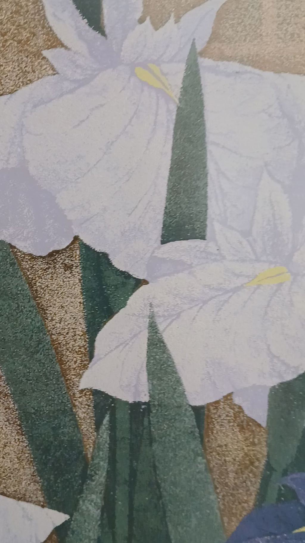 Sugiura Kazutoshi Iris No. 95 Woodblock Print