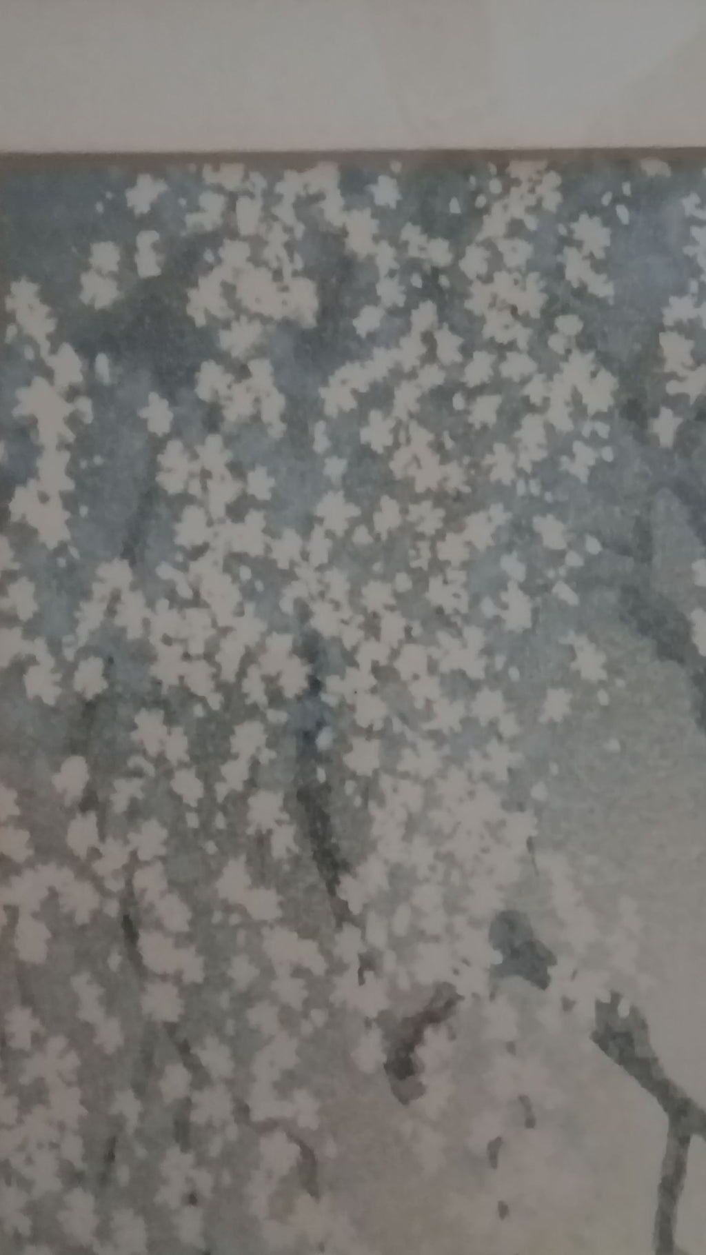 Eiichi Kotozuka Cherry Blossoms Vintage Woodblock Print